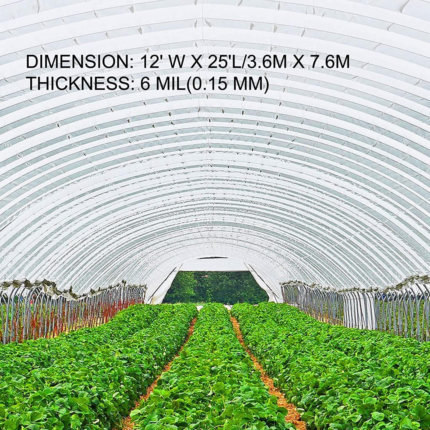 imageVEVOR Greenhouse Plastic Sheeting 8 x 25 ft 6 Mil Thickness UV Resistant Clear Polyethylene Film Hoop Green House Cover for Farms Agriculture Garden16 x 25 ft