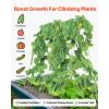 imageVEVOR Cucumber Trellis for Climbing Plants39quot H x 32quot W Foldable Cucumber Trellis Set with Twist Ties Metal Garden Trellis for Raised Bed Outdoor Plant Grow Support for Tomato Vegetable2 Pack35 W x 55 L