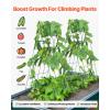 imageVEVOR Cucumber Trellis for Climbing Plants39quot H x 32quot W Foldable Cucumber Trellis Set with Twist Ties Metal Garden Trellis for Raised Bed Outdoor Plant Grow Support for Tomato Vegetable2 Pack39 W x 32 L
