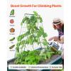 imageVEVOR Cucumber Trellis for Climbing Plants39quot H x 32quot W Foldable Cucumber Trellis Set with Twist Ties Metal Garden Trellis for Raised Bed Outdoor Plant Grow Support for Tomato Vegetable2 Pack46 W x 32 L