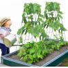 imageVEVOR Cucumber Trellis for Climbing Plants39quot H x 32quot W Foldable Cucumber Trellis Set with Twist Ties Metal Garden Trellis for Raised Bed Outdoor Plant Grow Support for Tomato Vegetable2 Pack39 W x 32 L