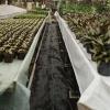 imageVEVOR Driveway Fabric Heavy Duty 6x300ft 3oz Woven Landscape Fabric Garden Weed Barrier Fabric Weed Control Fabric Geotextile Fabric for Landscaping Ground Cover Weed Block Gardening Mat BlackWoven