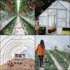imageVEVOR Greenhouse Plastic Sheeting 8 x 25 ft 6 Mil Thickness UV Resistant Clear Polyethylene Film Hoop Green House Cover for Farms Agriculture Garden25 x 40 ft