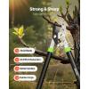 imageVEVOR Loppers for Tree Trimming 32 inch Garden Anvil Trimmer with Compound Action Sharp Steel Blade Heavy Duty Tree Branch Cutter Up to 2 inch Dia Cut Capacity Ergonomically Designed Handles