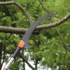 imageVEVOR Manual Pole Saw 7327 ft Extendable Tree Pruner Sharp Steel Blade and Scissors High Branches Trimming Branch Trimmer with Lightweight 8 Fiberglass Handles for Pruning Palms and Shrubs7327 ft