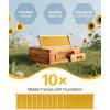 imageVEVOR 10 Frame Deep Brood Bee Hive Box Bee Box Dipped in 100 Beeswax Langstroth Beehive Kit with 10 Frames and Foundations Sheets and Transparent Acrylic Windows for Beekeeping SupplementMedium Super Box