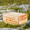 imageVEVOR 10 Frame Deep Brood Bee Hive Box Bee Box Dipped in 100 Beeswax Langstroth Beehive Kit with 10 Frames and Foundations Sheets and Transparent Acrylic Windows for Beekeeping SupplementDeep Brood Box