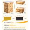 imageVEVOR 10 Frame Deep Brood Bee Hive Box Bee Box Dipped in 100 Beeswax Langstroth Beehive Kit with 10 Frames and Foundations Sheets and Transparent Acrylic Windows for Beekeeping SupplementDeep Box x 2 Medium Box x 1