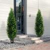 imageVEVOR Artificial Cedar Topiary Tree 48 inch Tall 2 Pieces with Extra Leaves ampamp Pot Faux Evergreen Fake Pine Cypress Trees Plant UV Rated Artificial Greenery Set for Home Decor IndoorOutdoor5ft