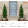 imageVEVOR Artificial Cedar Topiary Tree 48 inch Tall 2 Pieces with Extra Leaves ampamp Pot Faux Evergreen Fake Pine Cypress Trees Plant UV Rated Artificial Greenery Set for Home Decor IndoorOutdoor4ft