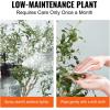 imageVEVOR Artificial Olive Tree 5 FT Tall Faux Plant Secure PE Material ampamp AntiTip Tilt Protection LowMaintenance Plant Lifelike Green Fake Potted Tree for Home Office Warehouse Decor Indoor OutdoorSlender Type