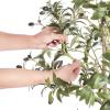 imageVEVOR Artificial Olive Tree 5 FT Tall Faux Plant Secure PE Material ampamp AntiTip Tilt Protection LowMaintenance Plant Lifelike Green Fake Potted Tree for Home Office Warehouse Decor Indoor OutdoorSlender Type