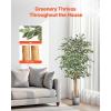 imageVEVOR Artificial Olive Tree 5 FT Tall Faux Plant Secure PE Material ampamp AntiTip Tilt Protection LowMaintenance Plant Lifelike Green Fake Potted Tree for Home Office Warehouse Decor Indoor OutdoorArtificial Ficus Tree