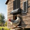 imageVEVOR Automatic Chicken Coop Door Auto Chicken Door Opener with Timer ampamp Light Sensor Aluminum Chicken Coops Door with Remote Control and LCD Screen 4 Modes Opening Battery or DC PoweredBlack