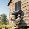 imageVEVOR Automatic Chicken Coop Door Auto Chicken Door Opener with Timer ampamp Light Sensor Aluminum Chicken Coops Door with Remote Control and LCD Screen 4 Modes Opening Battery or DC PoweredBlack