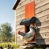 imageVEVOR Automatic Chicken Coop Door Auto Chicken Door Opener with Timer ampamp Light Sensor Aluminum Chicken Coops Door with Remote Control and LCD Screen 4 Modes Opening Battery or DC PoweredOrange