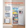 imageVEVOR Convertible FreezerRefrigerator 202 CuFt Frost Free Upright Freezer with Temp Control Panel Door Open too Long Alarm Adjustable Shelves and LED Standing Fridge for Kitchen Office Garage11 CuFt