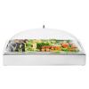 imageVEVOR Countertop Food Serving Display Container 5 Pan Stainless Steel Food Serving Tray Buffet Condiment Dispenser Display Rack with Clear Lid ampamp 3 Freezer Boxes for Restaurant Hotel Kitchen Party1 x 1 Pan