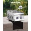 imageVEVOR Double Grilling Side Burners 2 x 17000BTU Liquid Propane Side Burner for Outdoor Kitchen Convertible to Natural Gas 304 Stainless Steel Builtin Double Burners with LED for BBQ Grill Island17 000BTU