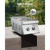 imageVEVOR Double Grilling Side Burners 2 x 17000BTU Liquid Propane Side Burner for Outdoor Kitchen Convertible to Natural Gas 304 Stainless Steel Builtin Double Burners with LED for BBQ Grill Island15 000BTU