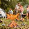 imageVEVOR Electric BBQ Rotisserie Grill Kit 46 Inch 132 lbs Capacity Automatic 52W Motor Height Adjustable Universal Roaster Stand Stainless Steel Grilling Kit Spit Rod with Heat Shield for Pig Lamb56132LBS