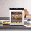 imageVEVOR Food Dehydrator 10 Trays Stainless Steel Food Dehydrator Machine 1000W Dehydrators with Digital Adjustable Timer ampamp Temp Dehydrator for Jerky Herb Meat Beef Fruit Dog Treats and Vegetables10Trays800W