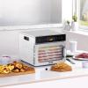 imageVEVOR Food Dehydrator 10 Trays Stainless Steel Food Dehydrator Machine 1000W Dehydrators with Digital Adjustable Timer ampamp Temp Dehydrator for Jerky Herb Meat Beef Fruit Dog Treats and Vegetables6Trays