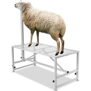 imageVEVOR Sturdy Sheep Stand  51x23 inch Metal Livestock Trimming Stand Adjustable Height 21quot to 33quot with Headpiece and Nose Loop 500lbs Capacity Ideal for Goats and Lambs BlackWhite 47x23 Adjustable