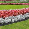 imageVEVOR Steel Landscape Edging 6 Packs 40 x 8 in RustResistant Metal Landscape Edging Bendable Garden Edging Border Heavy Duty Lawn Edging EasytoInstall Flower Bed Yard Pathway Divider Black40 L x 8 H 6 Pack