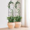 imageVEVOR Garden Trellis for Climbing Plants 60 x 15 in 2 Packs Rustproof Metal Garden Flower Trellis Outdoor Climbing Rose Trellis Cucumbers Support Decorative Clematis Trellis for Courtyards Lawns60H x 15W