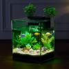 imageVEVOR Fish Tank Aquarium 2 Gallon Arch UltraClear GPPS Starter Smart Tank Adjustable 3 Color Lighting Self Cleaning System Fishbowl for Freshwater ampamp Saltwater Fish Home Office or Pet Use2 Gal