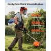 imageVEVOR 52cc GasPowered 6in1 MultiFunctional Trimmer  Hedge Trimmer Brush Cutter Weed Eater Edger Pole Saw ampamp Chainsaw Pruner EPA CE ampamp EMC Certified63cc 5in1 Gas Hedge Trimmer  Weed Eater  String Trimmer  3T40T Brush Cutter  Pole Saw Chainsaw Pruner