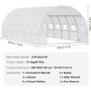 imageVEVOR Walkin Tunnel Greenhouse 146x64x63 ft Hoop House Greenhouse Tunnel Plant Hot House with Galvanized Steel Frame Green PE Cover Rollup Zipper Door and 8 Windows for Outdoorwhite