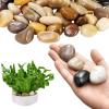 imageVEVOR Natural River Rocks 12 inch 15 lbs Decorative MultiColor Pebble Stones Smooth ampamp Polished Garden Landscaping Stones Paving Plant Rocks for Fish Tank Flower Pots Water Fountains Pathways