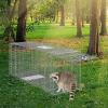 imageVEVOR Live Animal Cage Trap 42quot x 16quot x 18quot Humane Cat Trap Galvanized Iron Folding Animal Trap Cage with Handle for Stray Dogs Armadillos Raccoons Foxes50 x 20 x 26