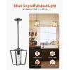 imageVEVOR 1Light Pendant Light 2 Pack Kitchen Island Lights with Clear Glass Shade ampamp Hanging Cord Black and Gold Finish Adjustable Height Pendant Lighting for Bedroom Hallway Entryway Kitchen1 Pack  Sturdy Metal Construction