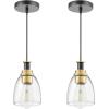 imageVEVOR 1Light Pendant Light 2 Pack Kitchen Island Lights with Clear Glass Shade ampamp Hanging Cord Black and Gold Finish Adjustable Height Pendant Lighting for Bedroom Hallway Entryway Kitchen2 Pack
