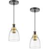 imageVEVOR 1Light Pendant Light 2 Pack Kitchen Island Lights with Clear Glass Shade ampamp Hanging Cord Black and Gold Finish Adjustable Height Pendant Lighting for Bedroom Hallway Entryway Kitchen2 Pack