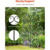 imageVEVOR 60 x 15 in Rustproof Metal Garden Flower Trellis Outdoor Climbing Rose ampamp Cucumber Support Decorative Tall Clematis Trellis for Courtyards ampamp Lawns71Hx 20W