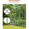imageVEVOR 60 x 15 in Rustproof Metal Garden Flower Trellis Outdoor Climbing Rose ampamp Cucumber Support Decorative Tall Clematis Trellis for Courtyards ampamp Lawns71Hx 20W