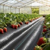 image:imageVEVOR 3x100FT 32oz Weed Barrier Fabric Heavy Duty Landscape Fabric Weed Blocker Fabric Garden Weed Mat Lawn Fabric Weed Control Fabric Driveway Fabric Ground Cover Woven Landscape Cloth Black3FT50FT2Packs32oz
