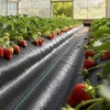 image:imageVEVOR 3x100FT 32oz Weed Barrier Fabric Heavy Duty Landscape Fabric Weed Blocker Fabric Garden Weed Mat Lawn Fabric Weed Control Fabric Driveway Fabric Ground Cover Woven Landscape Cloth Black3FT100FT5oz