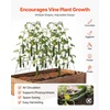 image:imageVEVOR Cucumber Trellis 46 High Foldable AFrame Garden Trellises for Raised Bed 4 Panels Metal Rustproof Outdoor Climbing Plant Support with 2 Plant Bags for Vine Peas Beans Tomato Flowers46 x 36