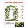 image:imageVEVOR Cucumber Trellis 81 inch Tall Garden Arch Trellis UShape Garden Trellises for Raised Bed Metal Arch Outdoor Climbing Plants Support for Vine Peas Beans Zucchini Tomato Squash FlowersBroad Arch Trellis