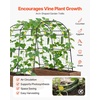 image:imageVEVOR Cucumber Trellis 81 inch Tall Garden Arch Trellis UShape Garden Trellises for Raised Bed Metal Arch Outdoor Climbing Plants Support for Vine Peas Beans Zucchini Tomato Squash FlowersArch Trellis