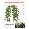 image:imageVEVOR Cucumber Trellis 81 inch Tall Garden Arch Trellis UShape Garden Trellises for Raised Bed Metal Arch Outdoor Climbing Plants Support for Vine Peas Beans Zucchini Tomato Squash FlowersArch Trellis