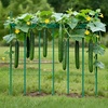 image:imageVEVOR Garden Stakes 50 Pack 4606 inch Plastic Coated Metal Tomato Stakes Garden Sticks for Plants Support with Pointed End and NonSlip Bumps for Growing Climbing Plants Outdoor Vegetables15m11mm