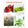 image:imageVEVOR Hydroponics Growing System Kit 1Tier 36 Sites UPVC Pipe Hydroponic Grow Kit with Timed Irrigation Sun amp Light Blocking Pipes Indoor Home Garden Vegetable Planting Grow Kits for Fruit HerbWhite  Standard Version