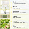image:imageVEVOR Hydroponics Growing System Kit 1Tier 36 Sites UPVC Pipe Hydroponic Grow Kit with Timed Irrigation Sun amp Light Blocking Pipes Indoor Home Garden Vegetable Planting Grow Kits for Fruit HerbWhite