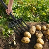 image:imageVEVOR Garden Fork 4Tine Gardening Pitchfork with Fiberglass Handle 45 in Heavy Duty Digging Fork with Y Grip Forged Steel Spading Fork for Hay Potato Composting Transplanting Aeration5Tine